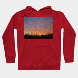 Cirrocumulus Cloud Formation-1RB Hoodie